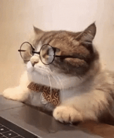 A Cat Wearing Glasses And A Bow Tie Is Laying On A Laptop Keyboard . GIF