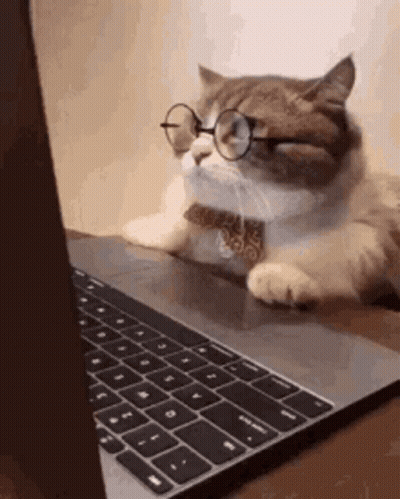 A Cat Wearing Glasses And A Bow Tie Is Laying On Top Of A Laptop Computer . GIF