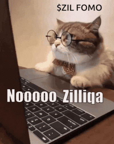 A Cat Wearing Glasses And A Bow Tie Is Sitting In Front Of A Laptop Computer GIF