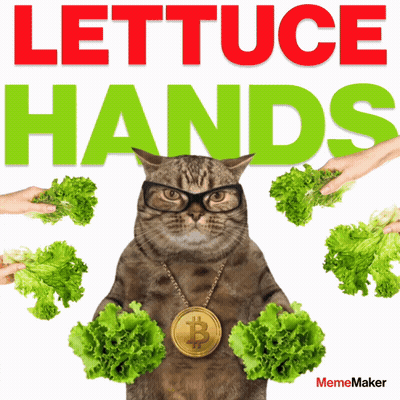 A Cat Wearing Glasses And A Gold Necklace Holds Lettuce In Its Hands GIF
