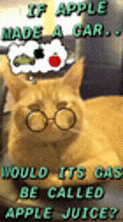 A Cat Wearing Glasses And A Hat Says If Apple Made A Car Would Its Car Be Called Apple Juice ? GIF