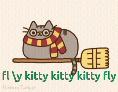 A Cat Wearing Glasses And A Scarf Is Riding A Broom With The Words Fly Kitty Kitty Kitty Fly Below It GIF
