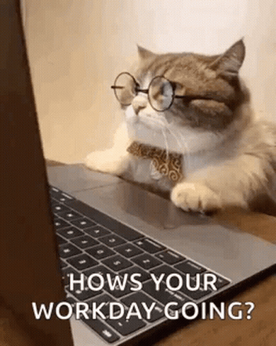 A Cat Wearing Glasses And A Tie Is Laying On A Laptop . GIF