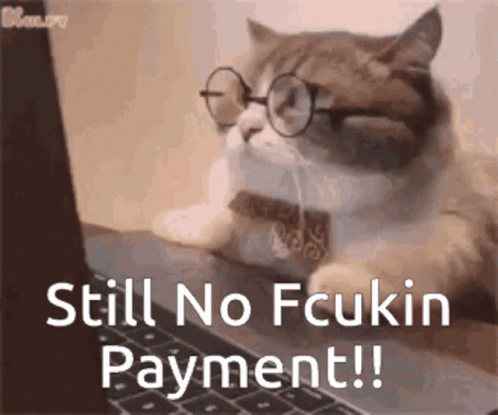 A Cat Wearing Glasses And Holding A Credit Card Is Sitting In Front Of A Laptop Computer . GIF