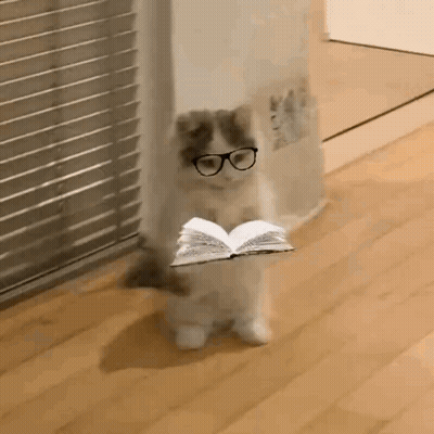 A Cat Wearing Glasses Is Holding An Open Book In Its Paws . GIF