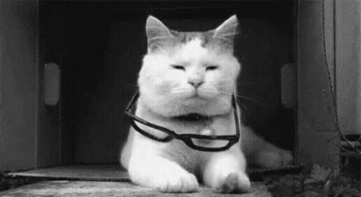 A Cat Wearing Glasses Is Laying Down In A Box . GIF
