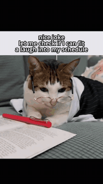 A Cat Wearing Glasses Is Laying On A Couch Next To A Red Pen And A Book . GIF