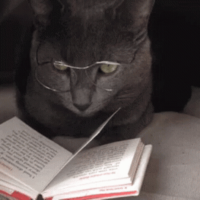Research GIFs