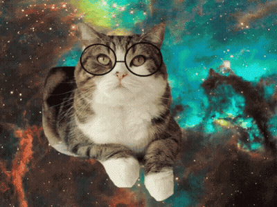 A Cat Wearing Glasses Looks At The Camera In Space GIF