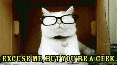 A Cat Wearing Glasses Says Excuse Me But You 'Re Geek GIF