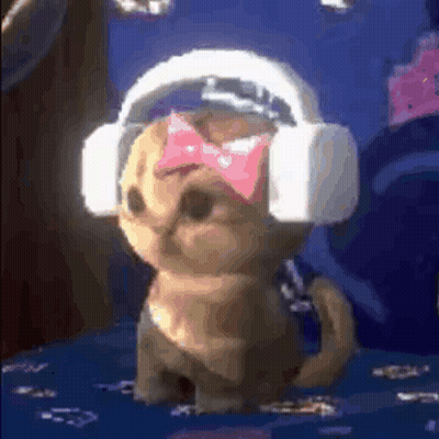 A Cat Wearing Headphones And A Pink Bow Tie . GIF