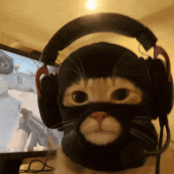 A Cat Wearing Headphones And A Ski Mask GIF