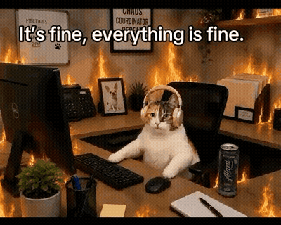 A Cat Wearing Headphones Sits At A Desk In Front Of A Computer And Says It 'S Fine GIF