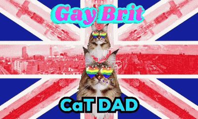 A Cat Wearing Rainbow Glasses Is Standing In Front Of A British Flag That Says Gay Brit Cat Dad GIF