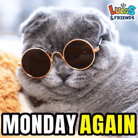 A Cat Wearing Round Sunglasses With The Caption Monday Again GIF