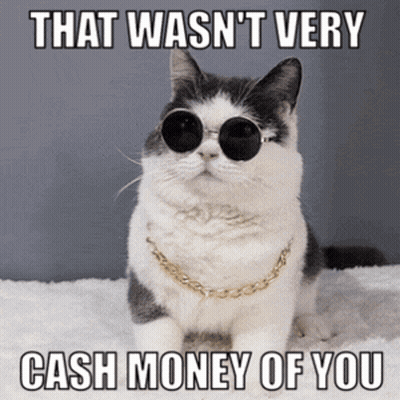 A Cat Wearing Sunglasses And A Gold Chain Says " That Wasn 'T Very Cash Money Of You " GIF