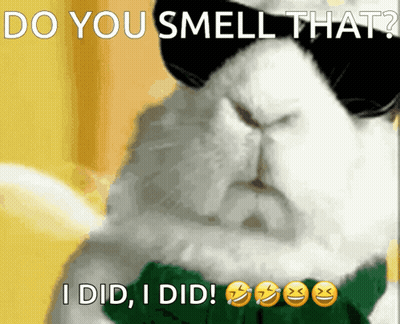 A Cat Wearing Sunglasses And A Green Scarf Says Do You Smell That GIF