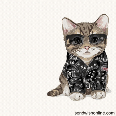 A Cat Wearing Sunglasses And A Leather Jacket With The Words " Leave Me Alone " Below It GIF