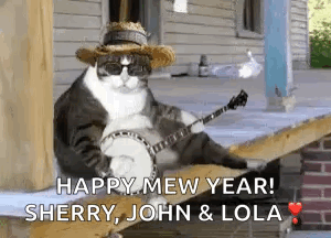 A Cat Wearing Sunglasses And A Straw Hat Is Playing A Banjo . GIF