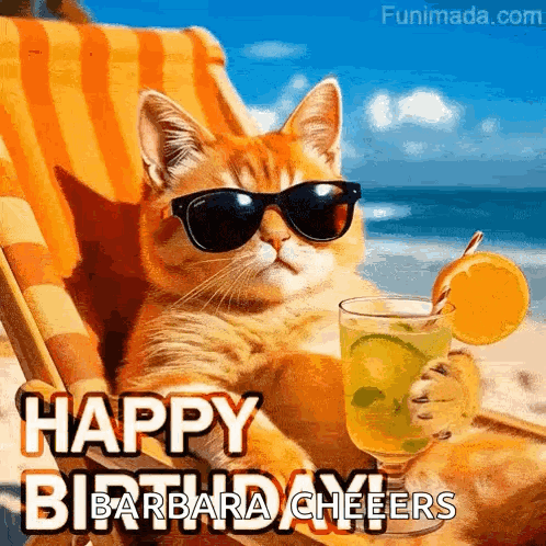 A Cat Wearing Sunglasses And Holding A Drink On The Beach . GIF