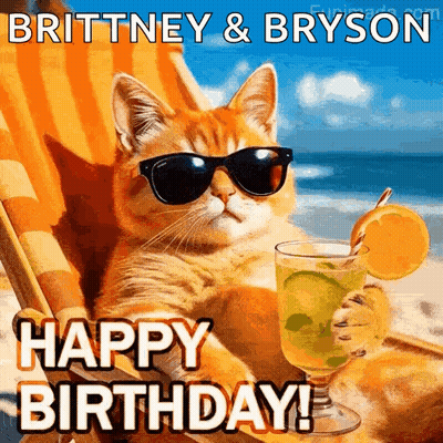 A Cat Wearing Sunglasses And Holding A Drink On The Beach . GIF