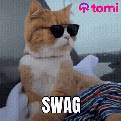 A Cat Wearing Sunglasses Has The Word Swag Written On It GIF