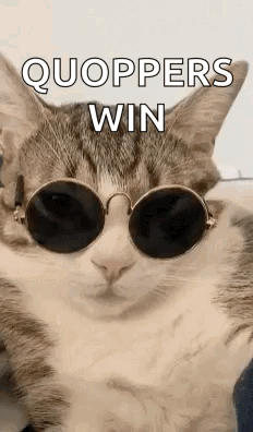 A Cat Wearing Sunglasses Is Laying On A Bed . GIF