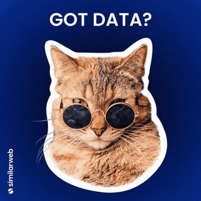 A Cat Wearing Sunglasses Is On A Blue Background With The Words Got Data Below It GIF