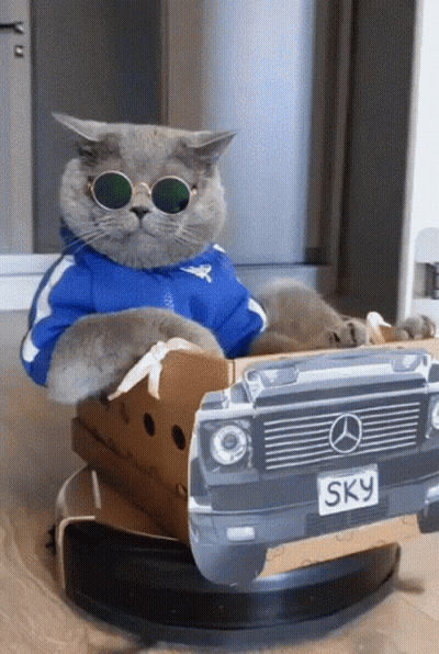 A Cat Wearing Sunglasses Is Sitting In A Cardboard Box That Looks Like A Mercedes Car GIF