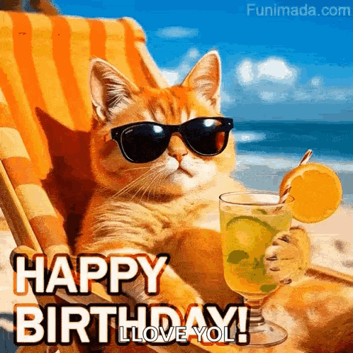A Cat Wearing Sunglasses Is Sitting In A Chair On The Beach Holding A Drink . GIF