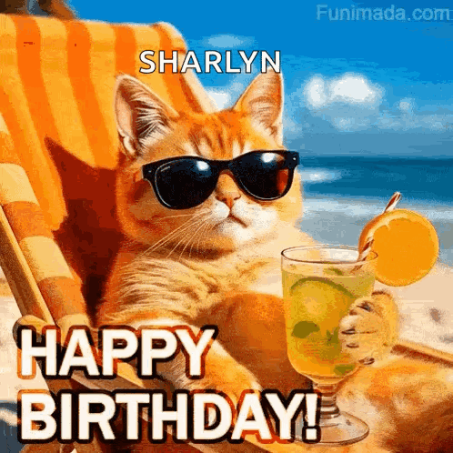 A Cat Wearing Sunglasses Is Sitting On A Beach Chair Holding A Glass Of Orange Juice . GIF