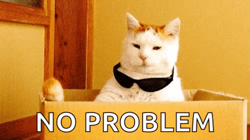 A Cat Wearing Sunglasses Sits In A Cardboard Box That Says " No Problem " GIF