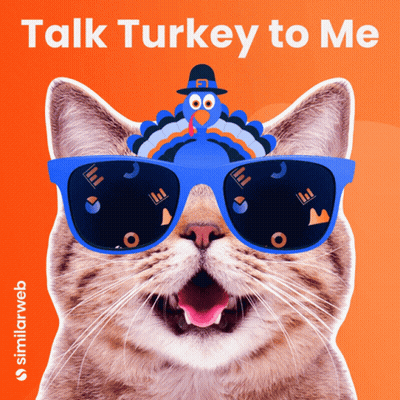 A Cat Wearing Sunglasses With A Turkey On Its Head And The Words Talk Turkey To Me GIF