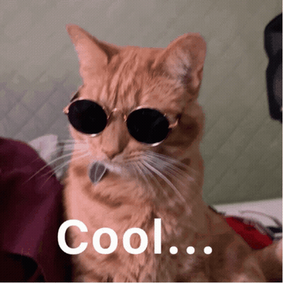 A Cat Wearing Sunglasses With The Word Cool Written Below It GIF