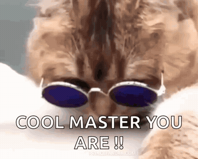 A Cat Wearing Sunglasses With The Words `` Cool Master You Are ! '' GIF