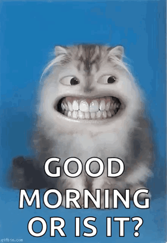 A Cat With A Big Smile On Its Face And The Words Good Morning Or Is It GIF