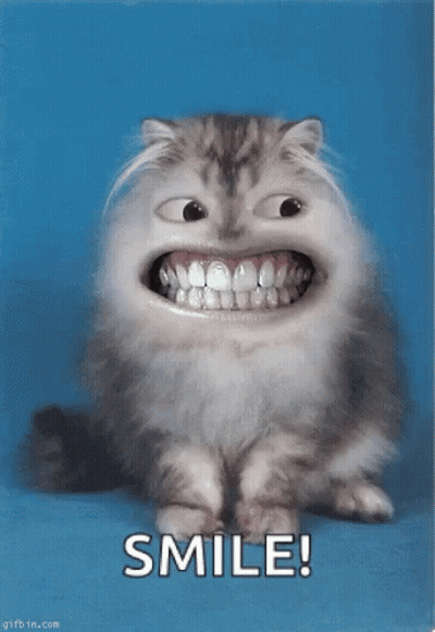 A Cat With A Big Smile On Its Face And The Words Smile Below It GIF