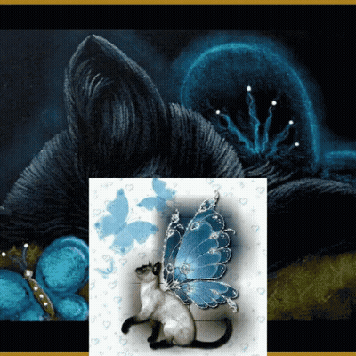 A Cat With A Blue Butterfly On Its Back Sits In Front Of A Blue Flower GIF