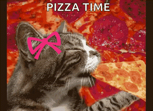 A Cat With A Bow On Its Head Is Eating A Slice Of Pizza GIF