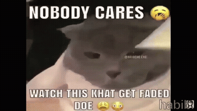 A Cat With A Caption That Says Nobody Cares Watch This Ghat Get Faded Doe GIF