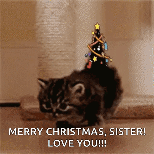 A Cat With A Christmas Tree On Its Head Says Merry Christmas Sister Love You ! GIF