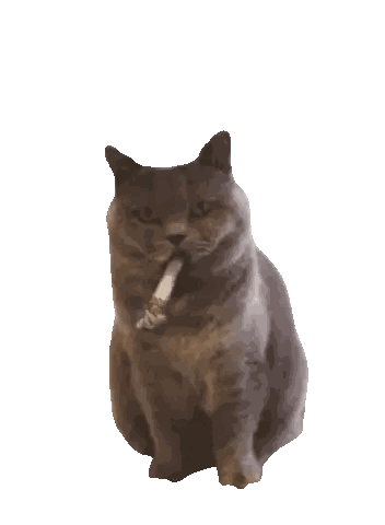 A Cat With A Cigarette In Its Mouth Looks At The Camera Sticker