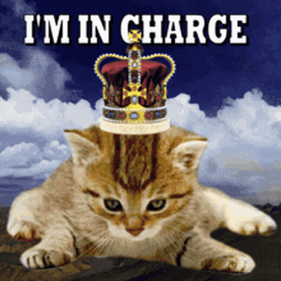 A Cat With A Crown On Its Head And The Words I 'M In Charge GIF
