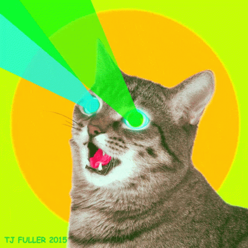 A Cat With A Green Light Coming Out Of Its Eyes And The Year 2015 GIF