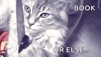 A Cat With A Knife In Its Mouth And The Words Book Or Else GIF