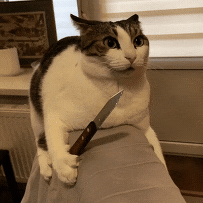 a cat with a knife in its paw sitting on someone 's lap