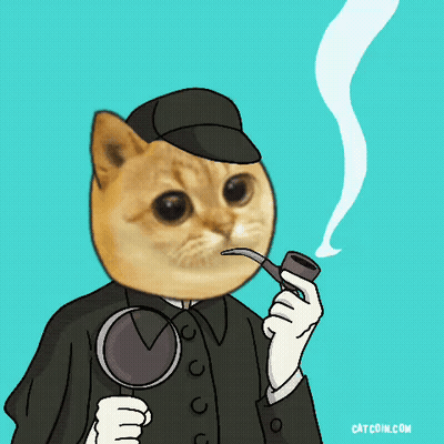 A Cat With A Magnifying Glass And Smoking A Pipe GIF