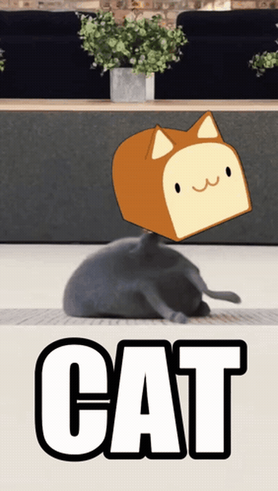 A Cat With A Piece Of Bread On Its Head And The Word Cat Underneath GIF