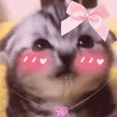 A Cat With A Pink Bow On Its Head And A Pink Heart Necklace GIF