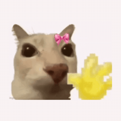 A Cat With A Pink Bow On Its Head Is Eating A French Fry . GIF